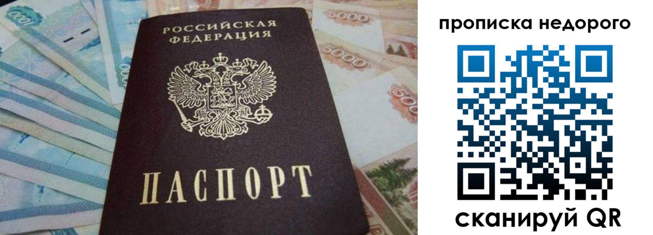 временная регистрация поиск в Дорогобуже