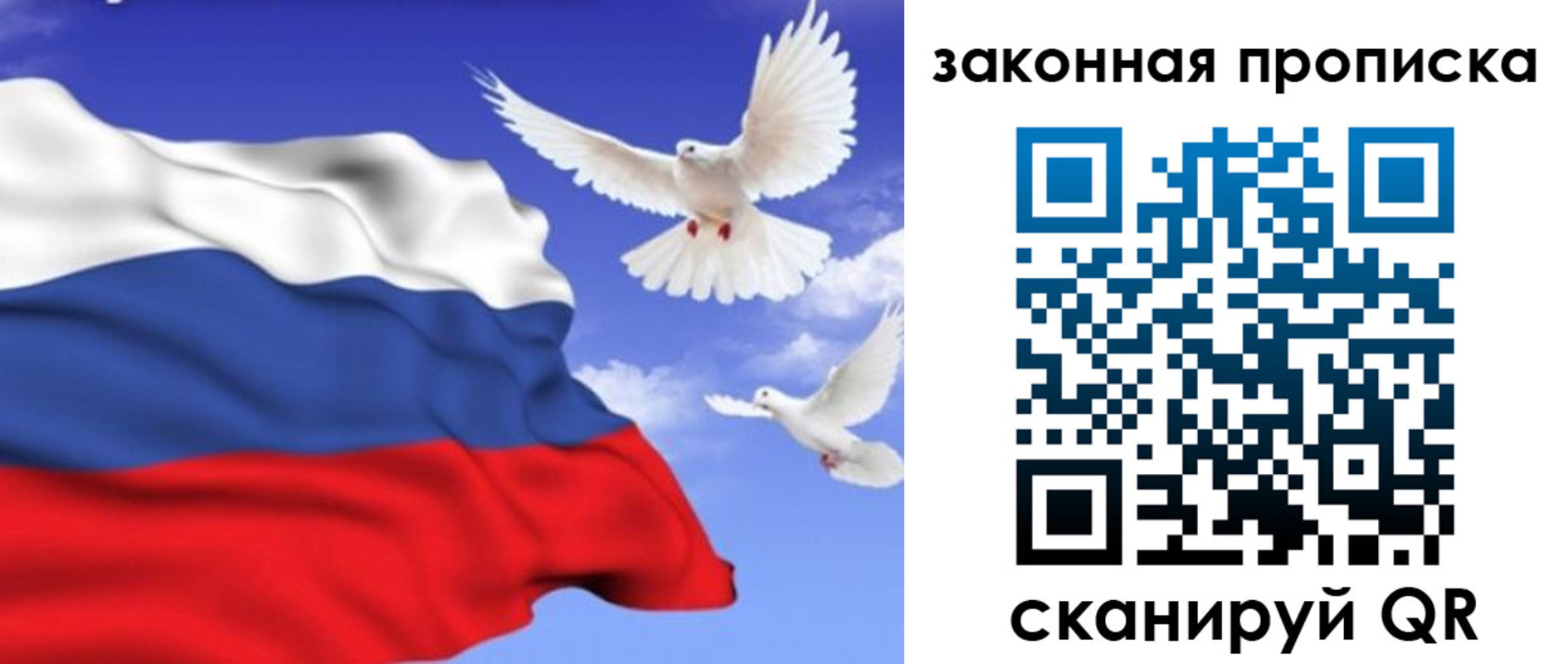 регистрация в Дорогобуже